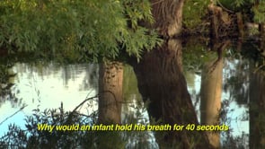FLUID MOODS… being bipolar