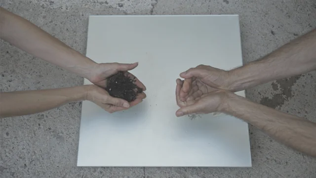 A show of hands William McCoy ガラス オブジェ Works – Art of the Americas – Collections – Emory University