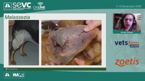 Observa antes de decidir: Imitadores de la dermatitis alérgica