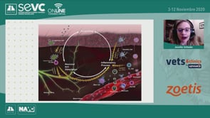 Anticuerpos monoclonales y alergia canina: Transformando tratamientos y vidas