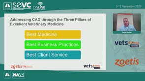Mejores prácticas médicas, comerciales y de servicio al cliente en el tratamiento de perros con prurito