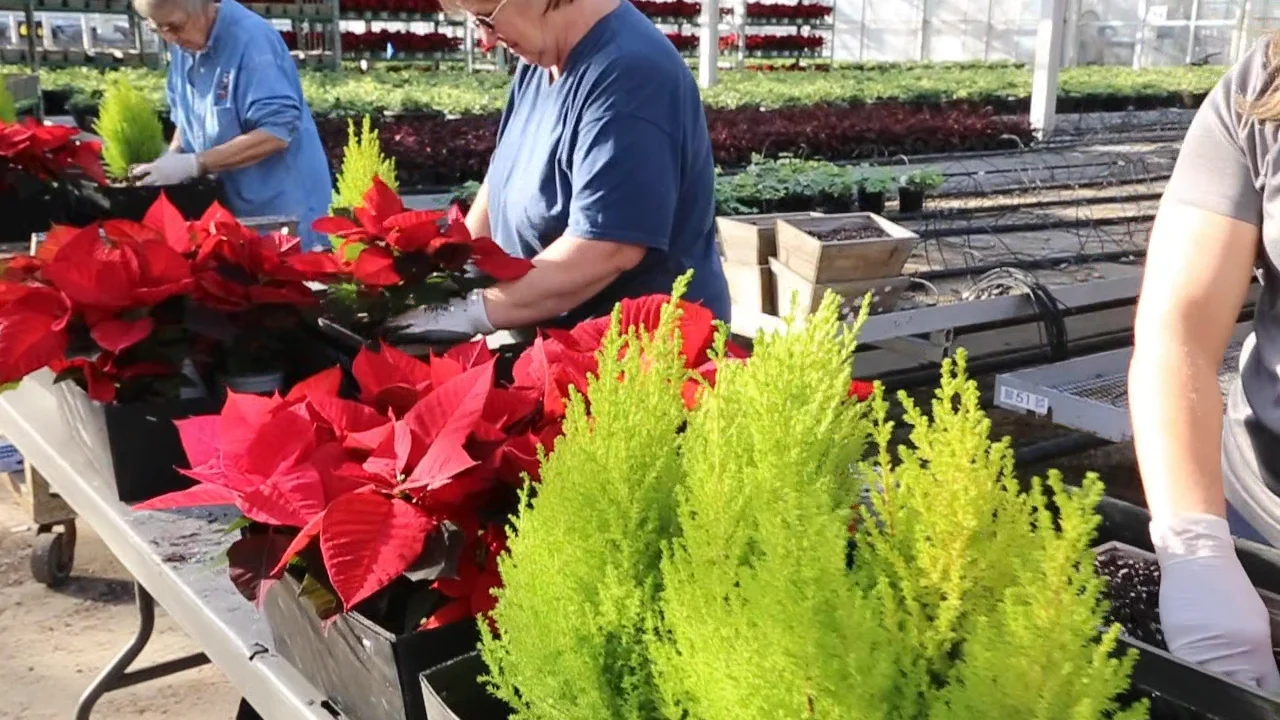 Masterpiece Flower Company First Draft on Vimeo