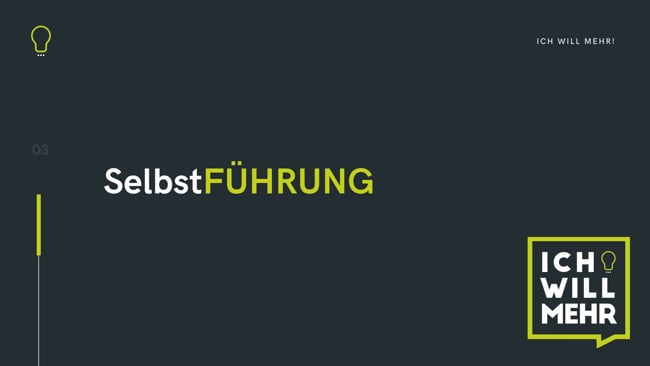 3 SelbstFÜHRUNG