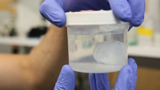 The LulzBot BIO rebuilds tissue structure