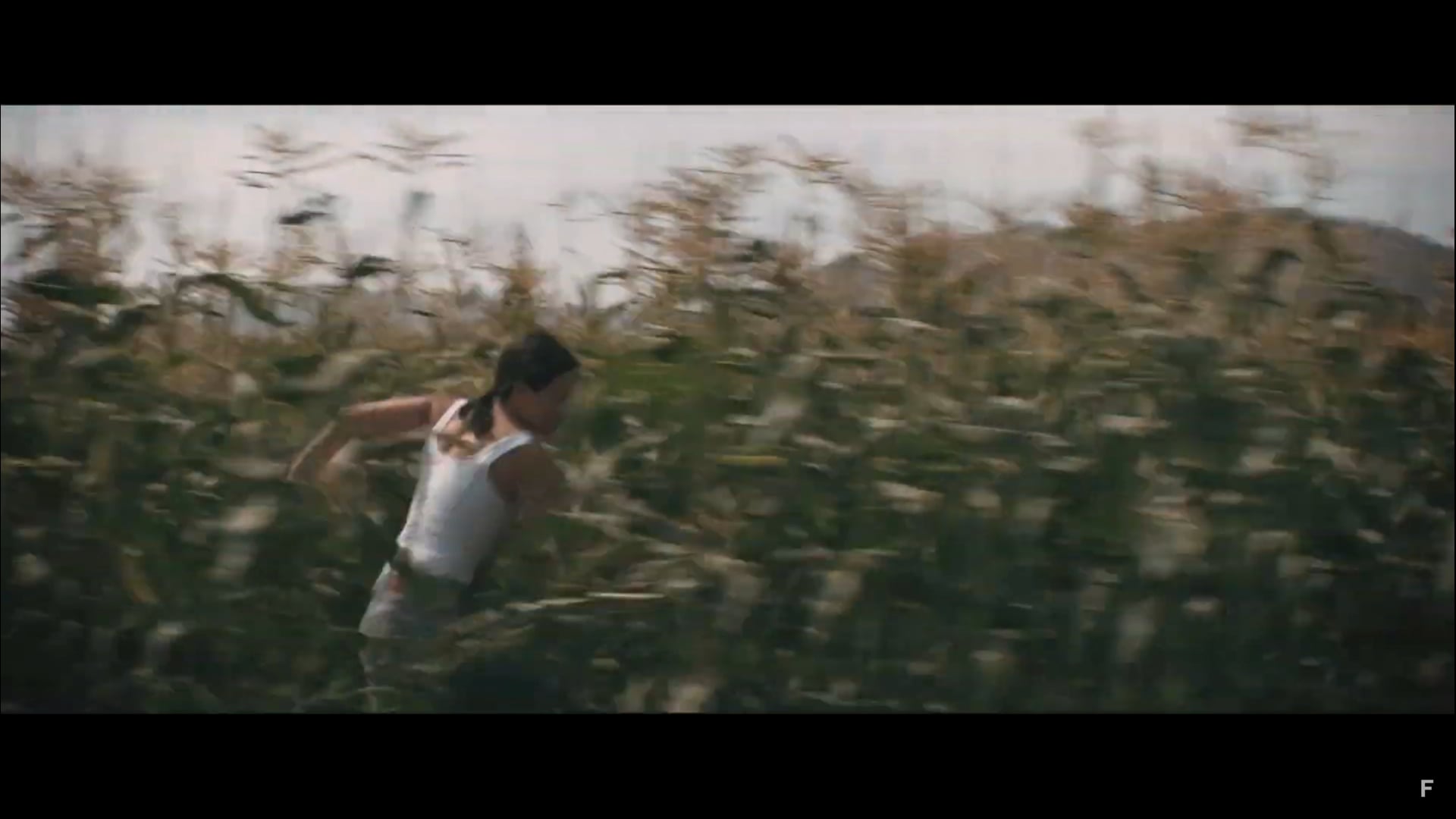 Scarecrow