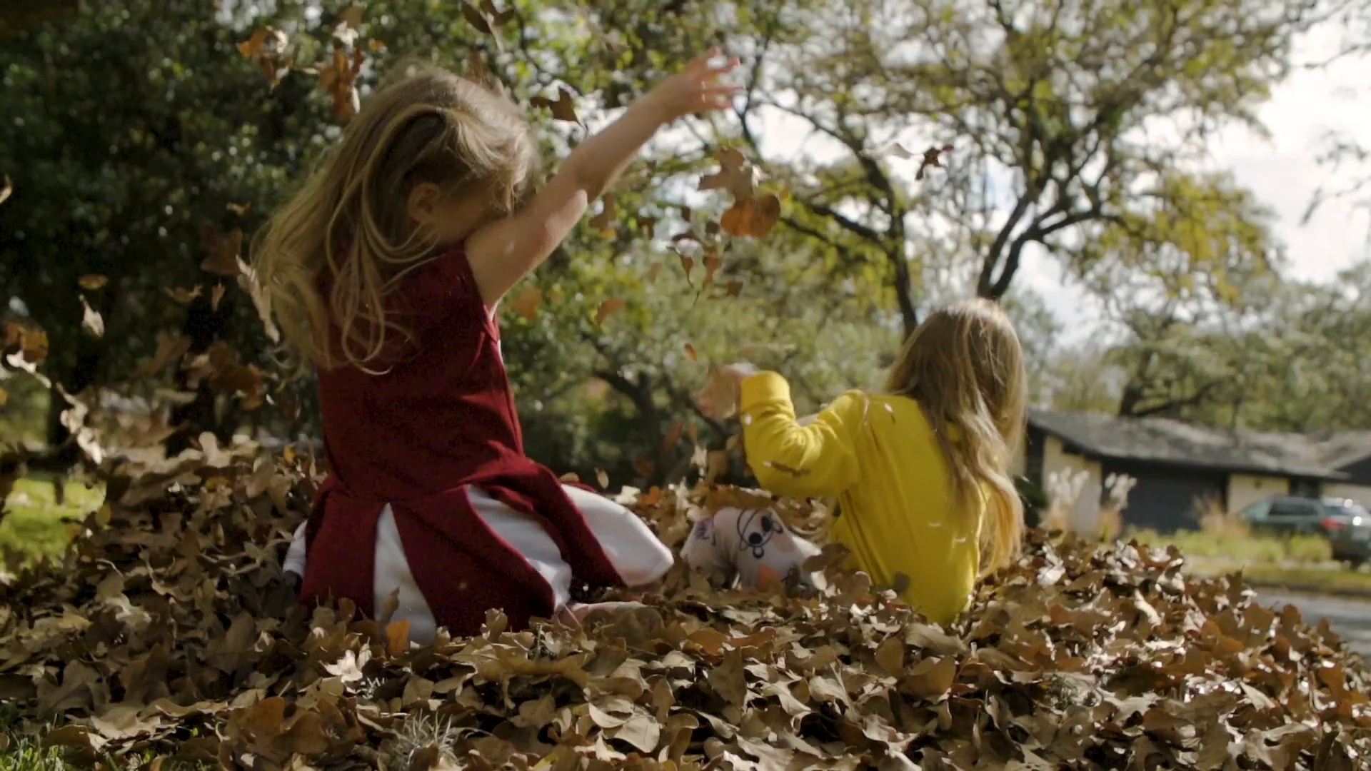Fall 2020 on Vimeo