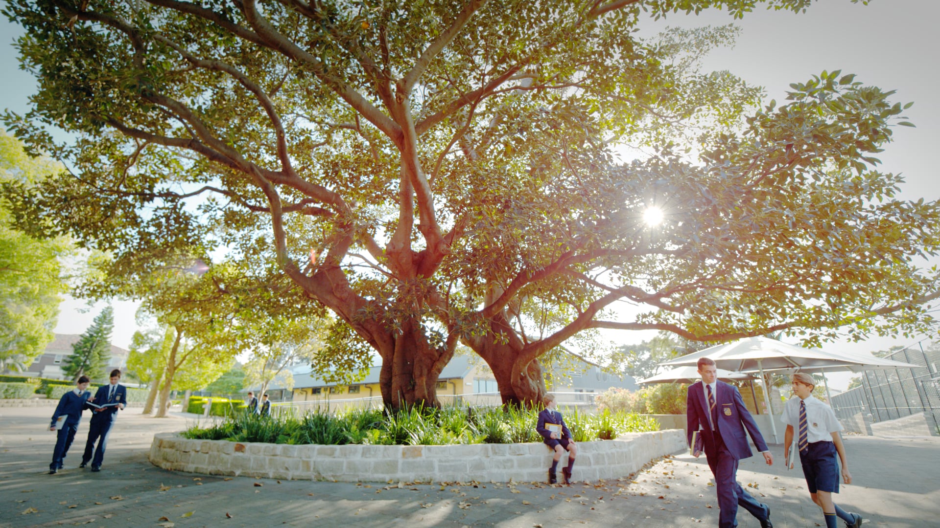 Waverley College - Slomo