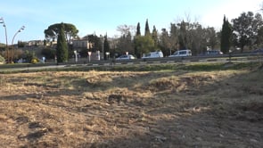 Neteja a la zona verda de St Martí d'Empúries