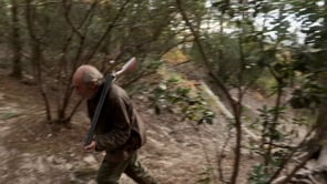 I’m Harold, the hunting dog