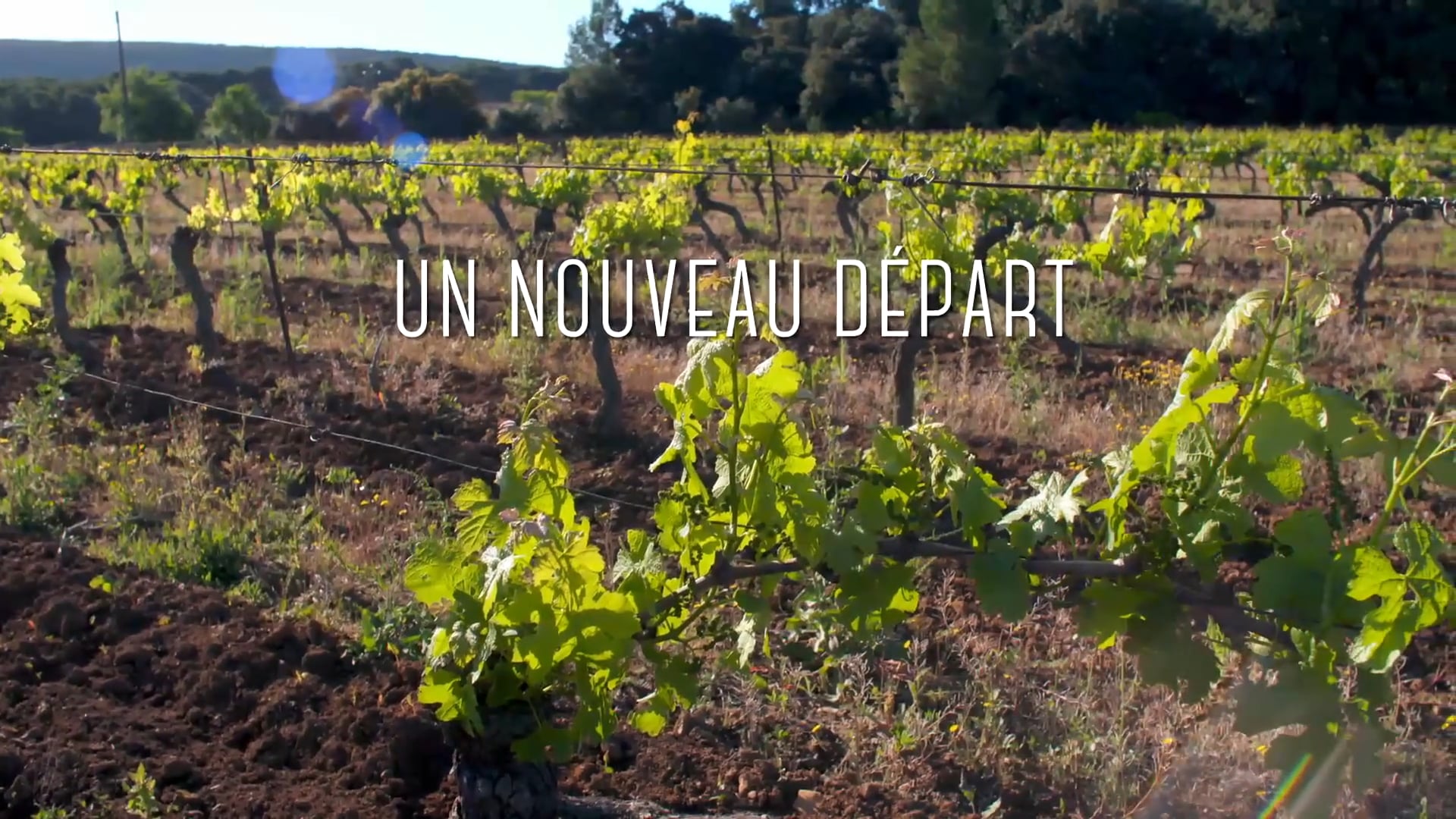 Un nouveau Départ