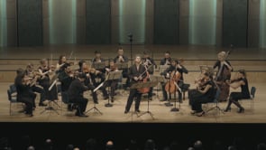 Mozart, concertos for violin N°1, N°2, N°3, N°4, N°5