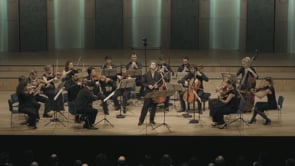 Mozart : concertos pour violon N°1, N°2, N°3, N°4, N°5