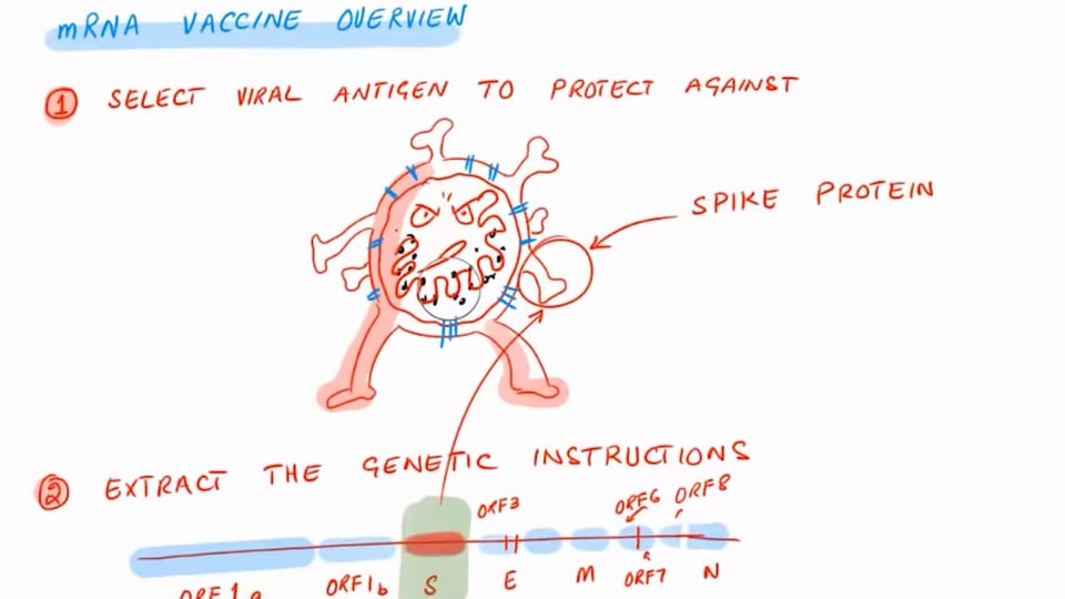 Vaccine Update- BioNTech and Pfizer’s Vaccine