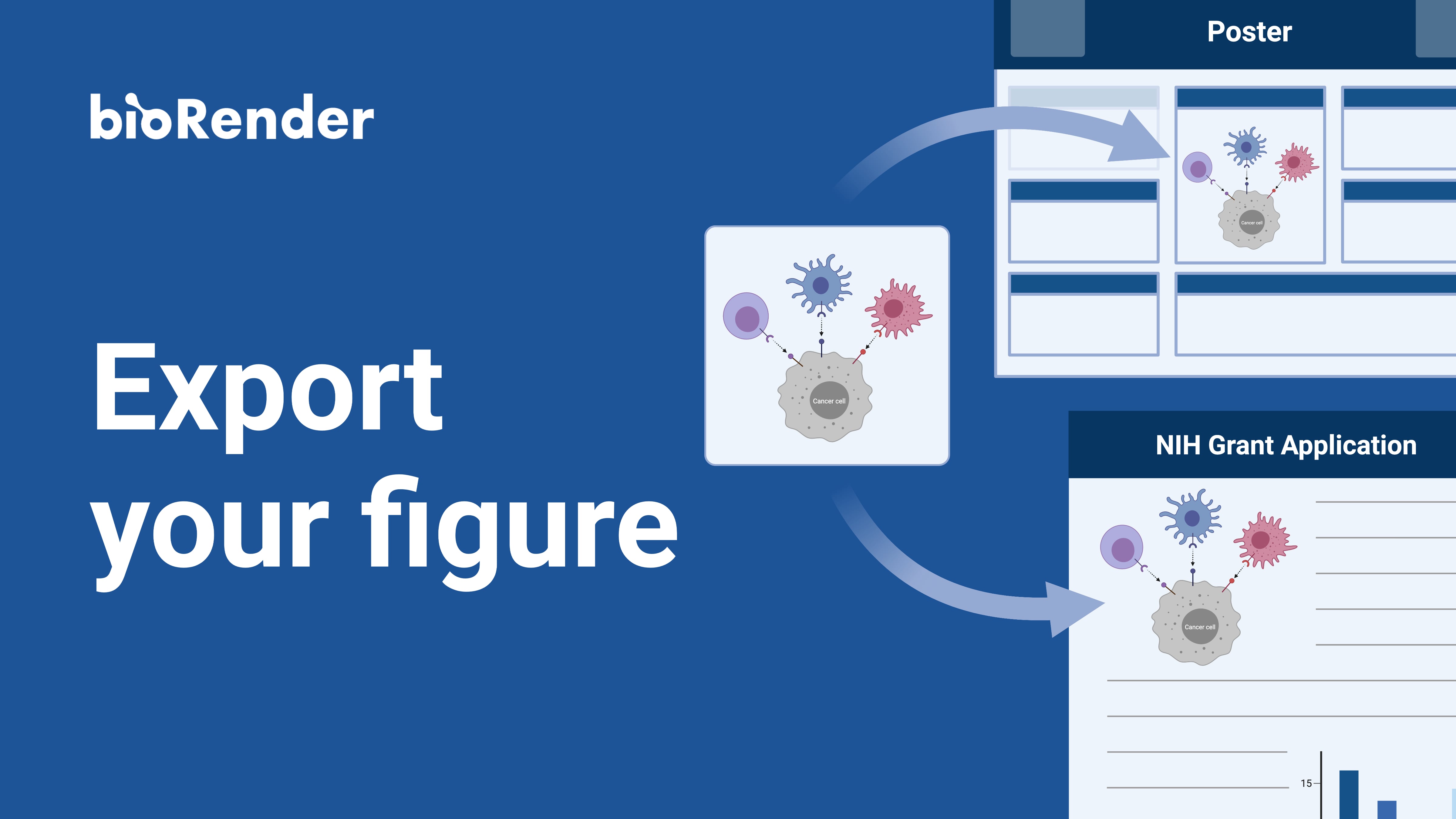 Exporting your illustration on Vimeo