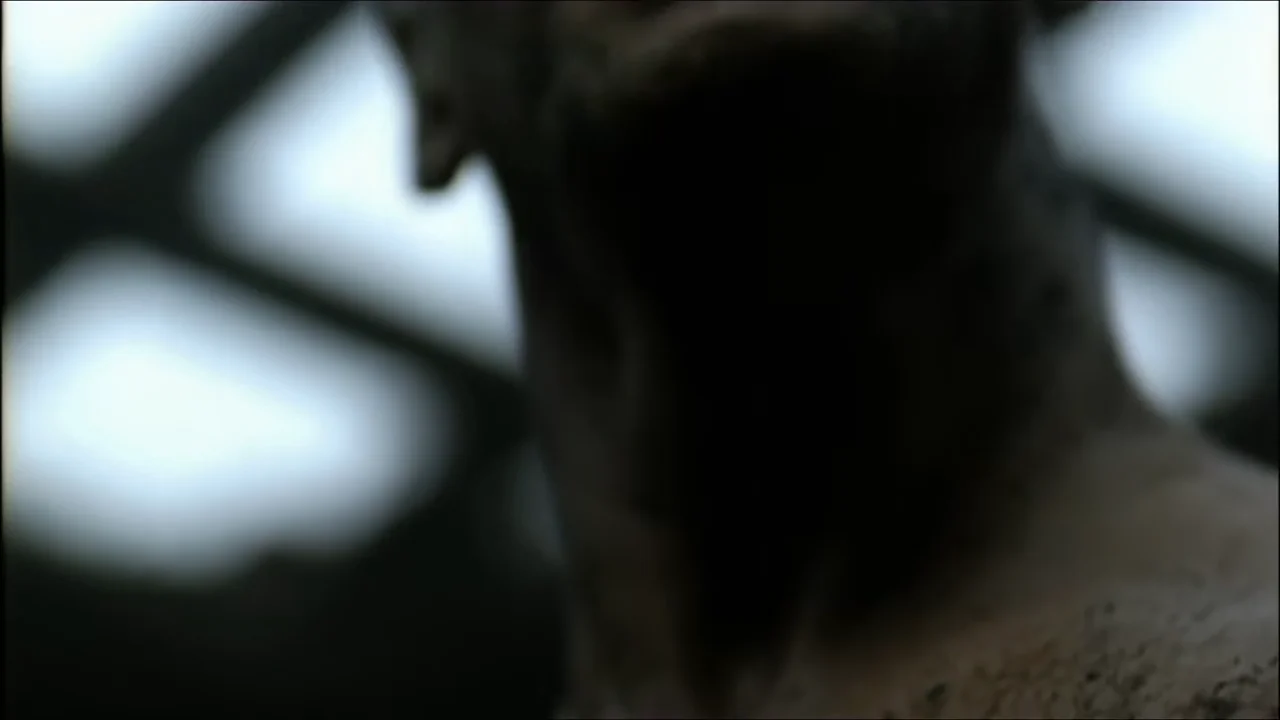 Rammstein - Mutter on Vimeo