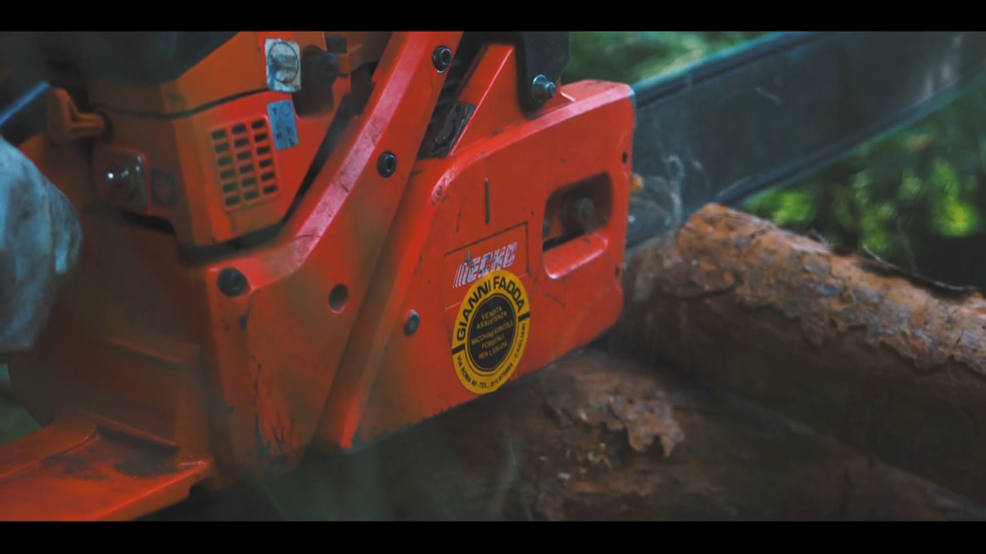 Video Promo Arbores