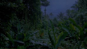 social header