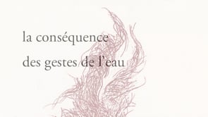 Livre d'artiste de Laurent Noël "Jusantes, d'un pas sur l'estran"