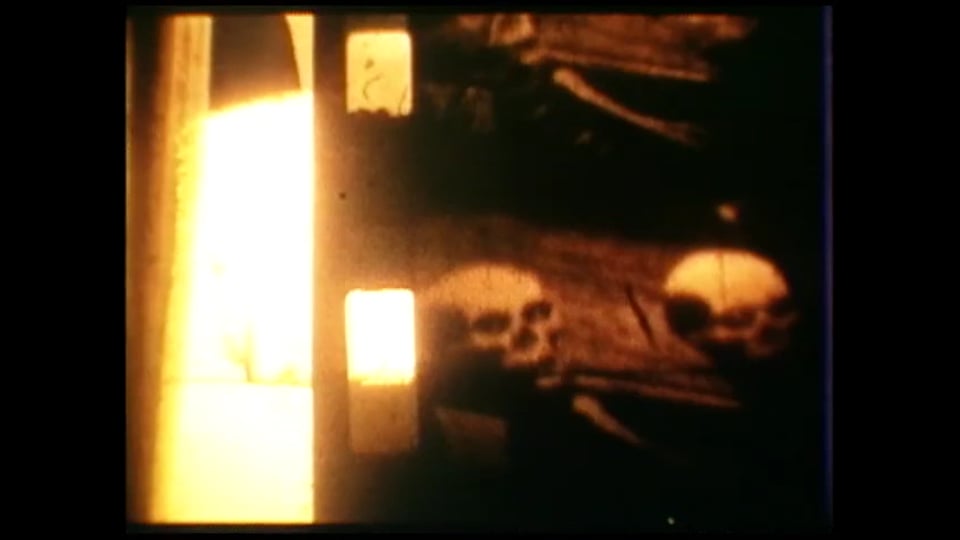 Sparklehorse