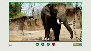 Saint Louis Zoo - Customer Success Story