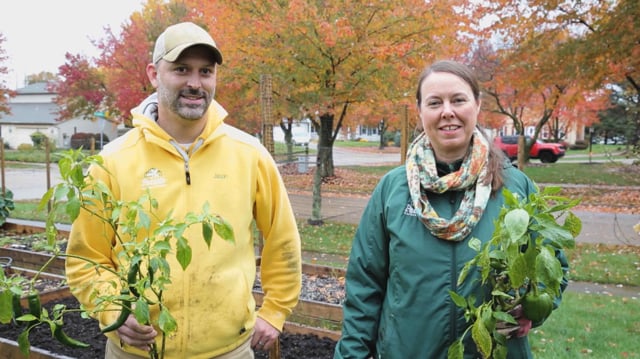 Vegetable Gardening in Raised Beds | Part 12: Putting the Garden to Bed