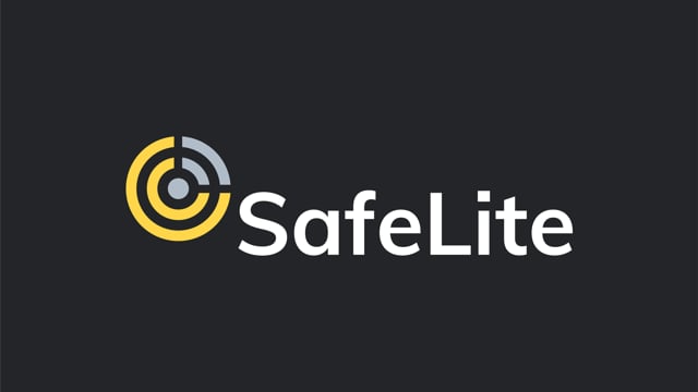 safelite case study