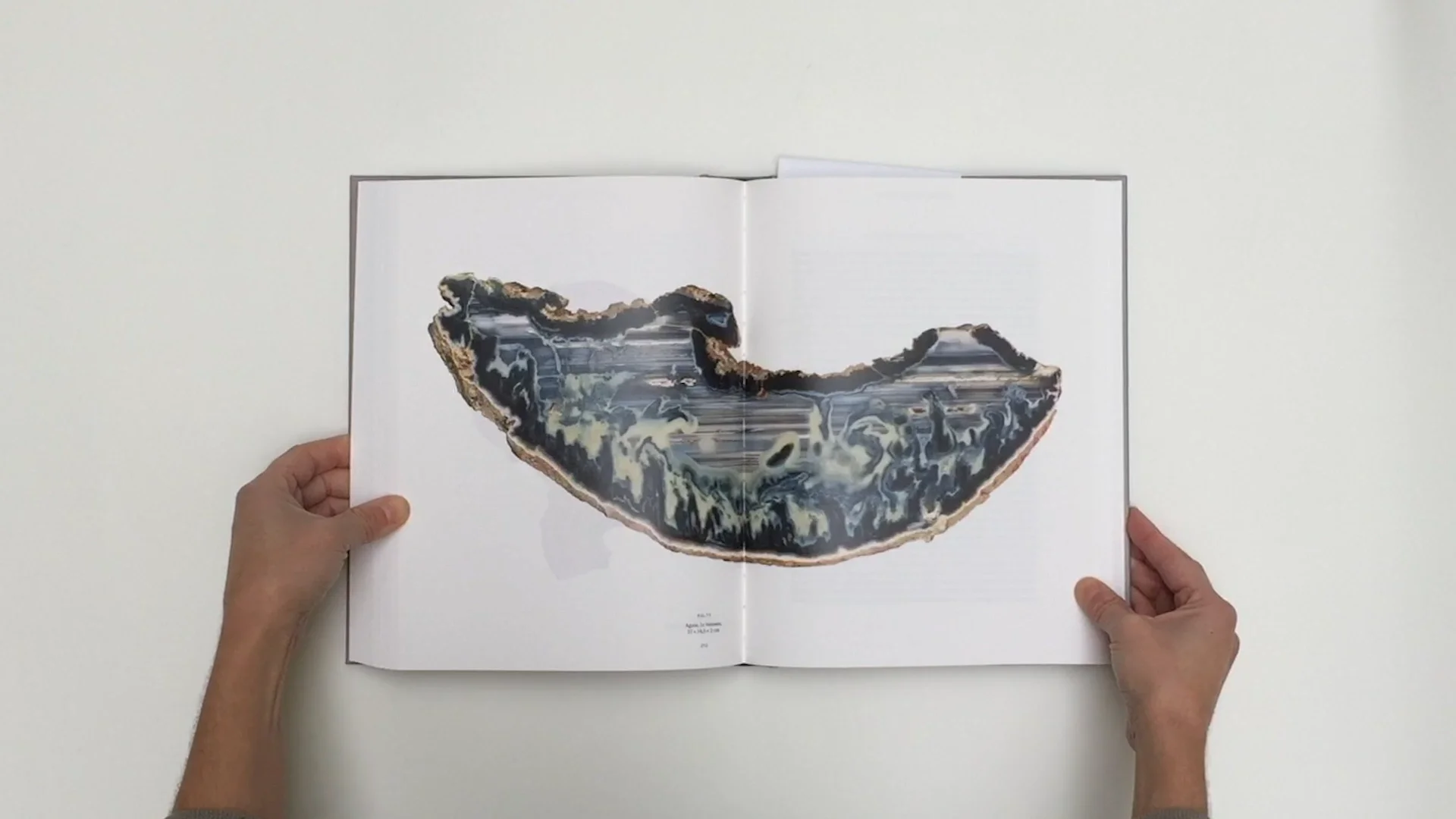 Roger Caillois, la lecture des pierres - Atelier EXB