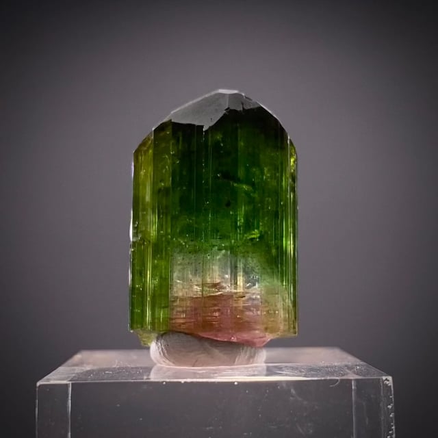 Vanadium Dravite Tourmaline - V22-1076 - Nandonjuki - Tanzania 