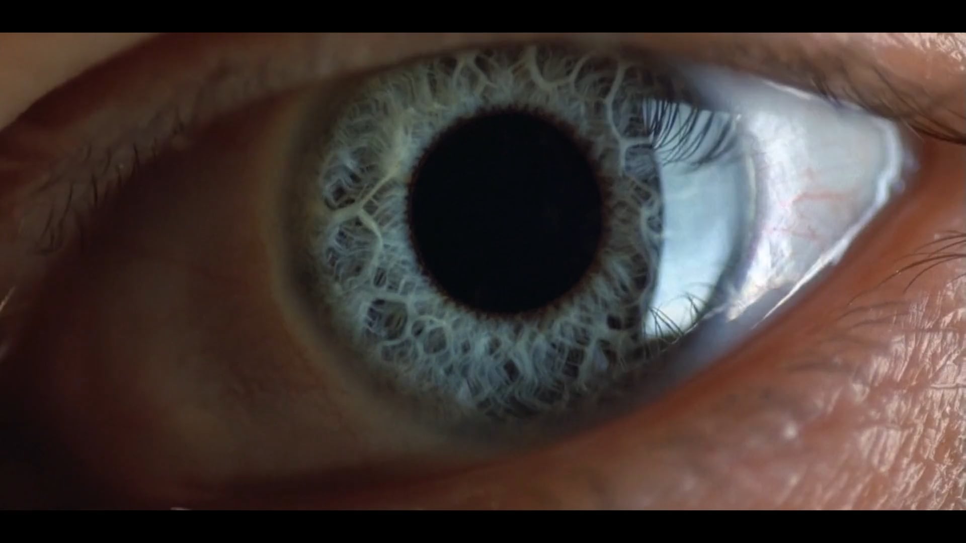Once Upon a Screen (teaser trailer)