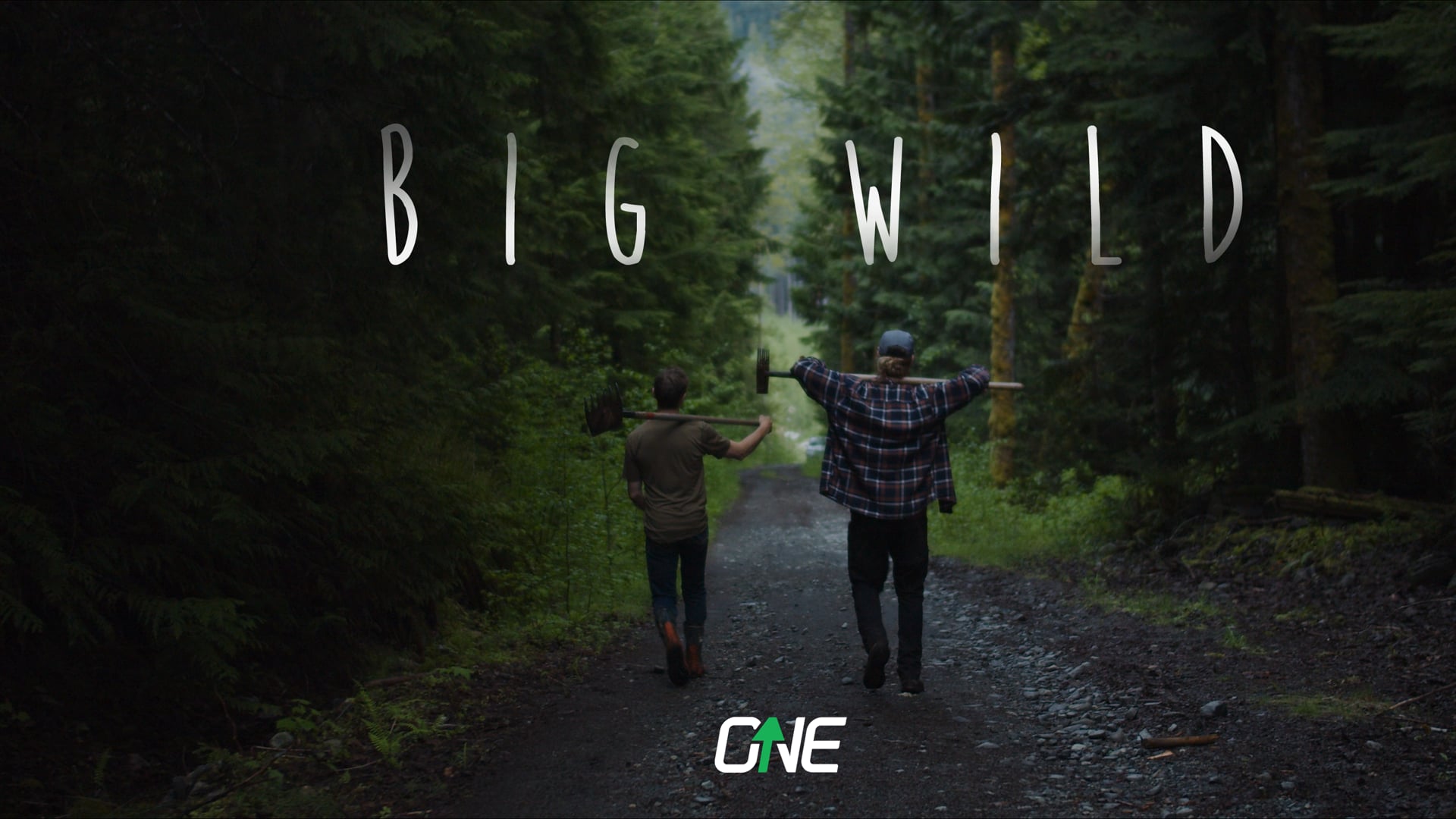 ONEUP - Big Wild (2020)