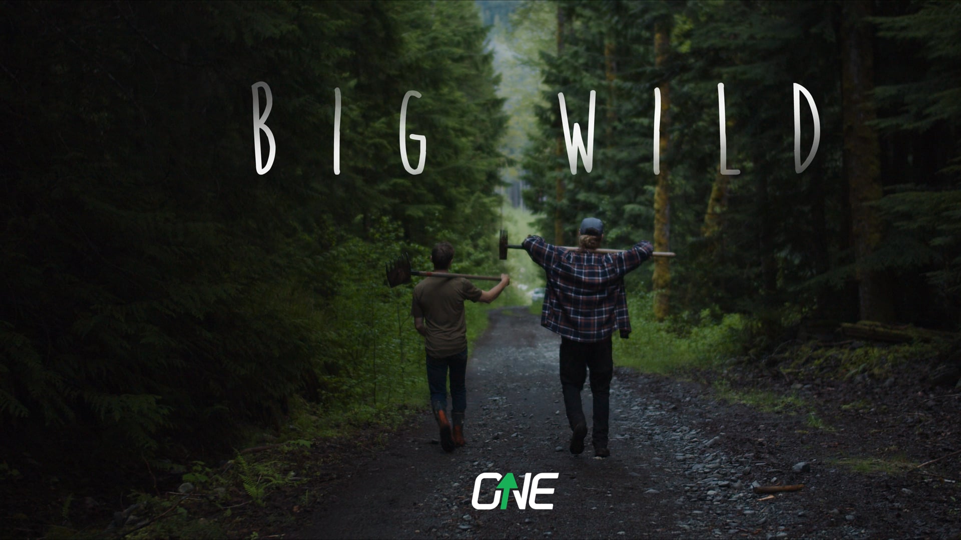 ONEUP - Big Wild
