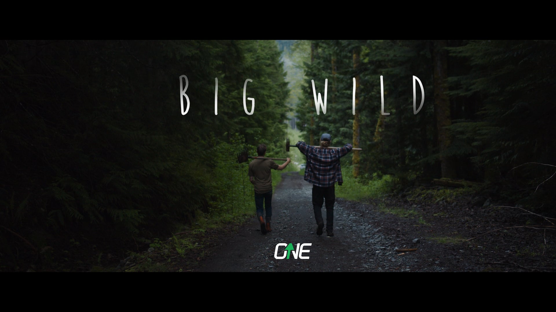 ONEUP - Big Wild