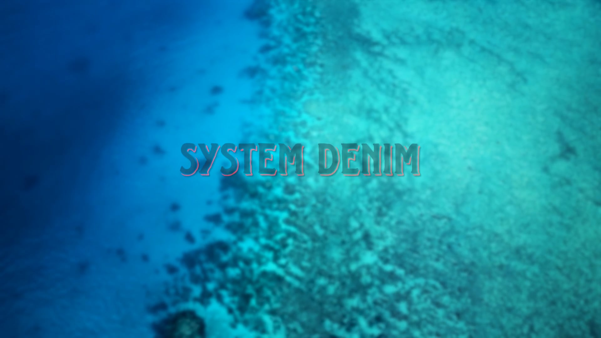 System Denim