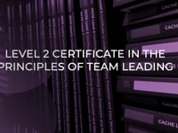 Level 2 Certificate in the Principles of Team Leading