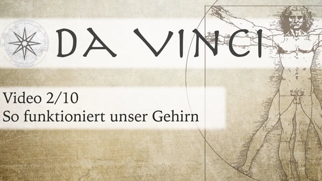 2. So funktioniert unser Gehirn