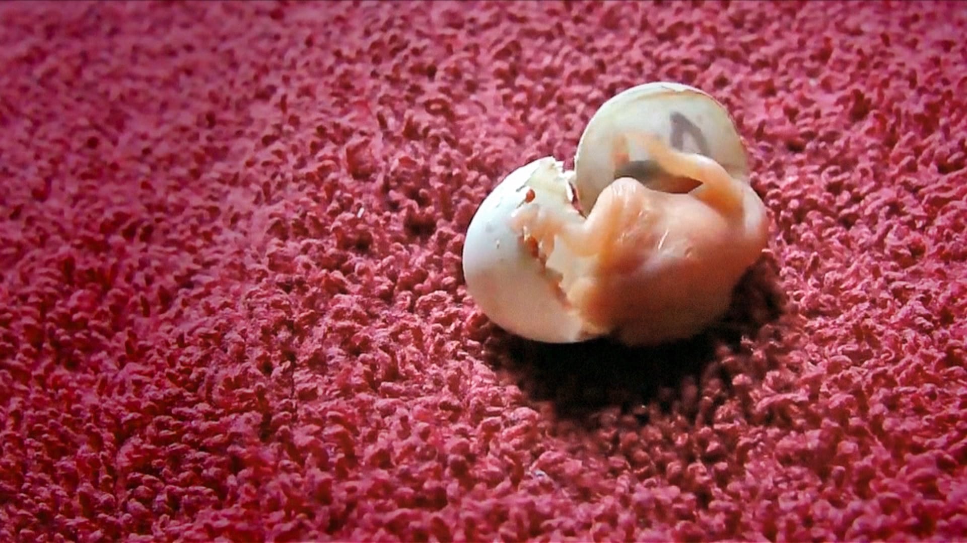 'Part 1' (director cut)