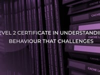 Understanding Behaviour that Challenges Overview