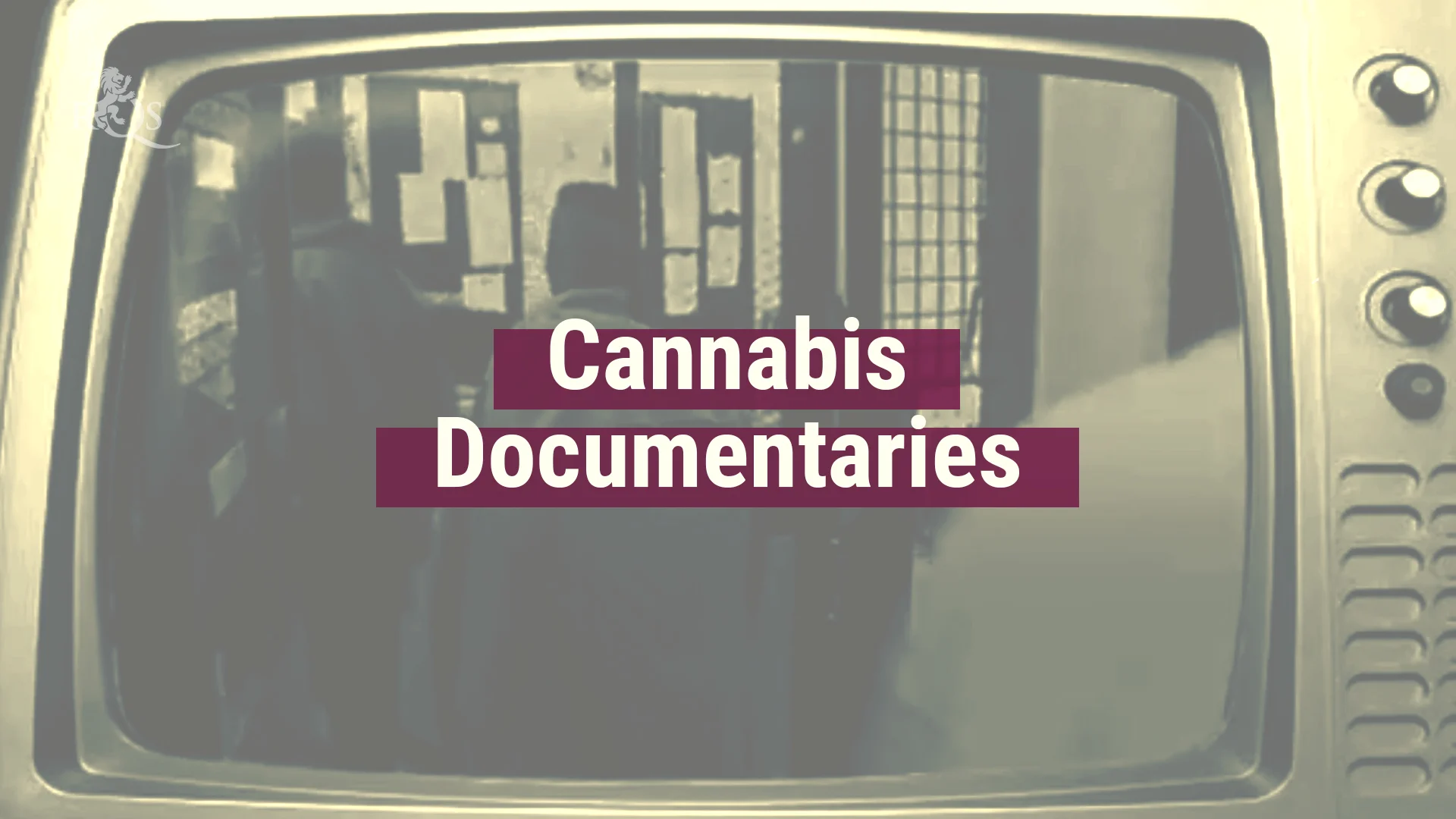 Best Cannabis documentaries on Vimeo