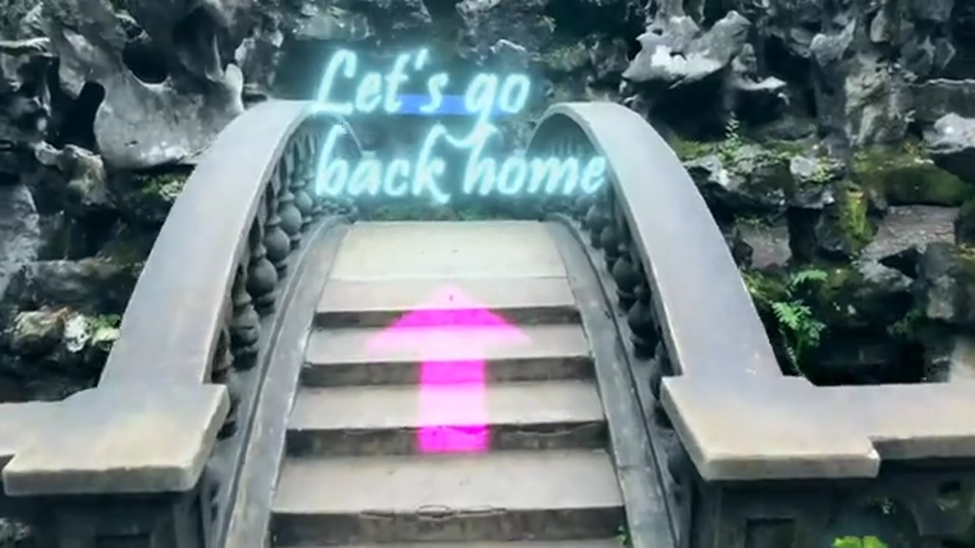 Let's Go Back Home