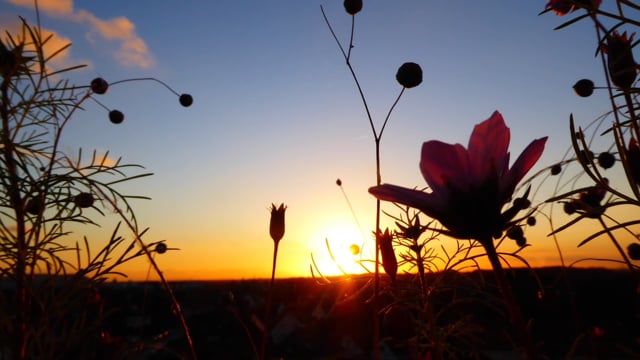 Abendstimmung 23-11