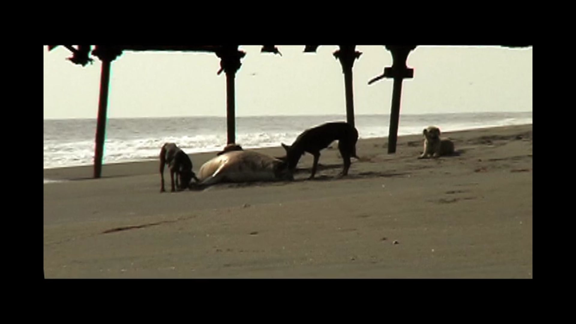 La Calma / The Calm (2011)