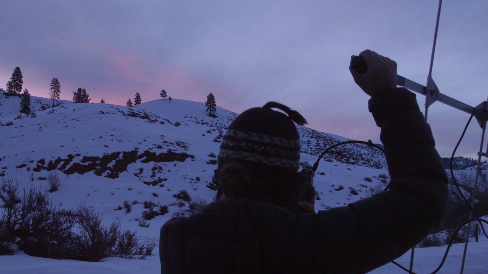 Human Elements: Tracking Invisible Cats