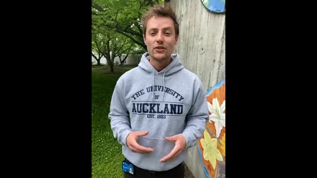 Uoa hoodie outlet