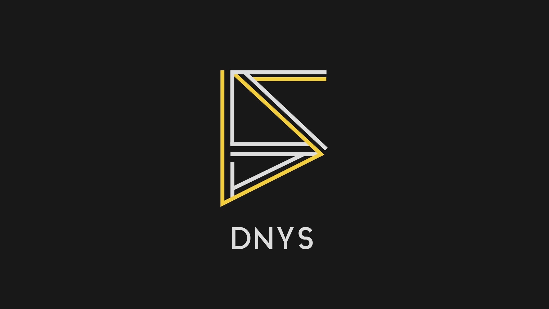 DNYS Logo Animation