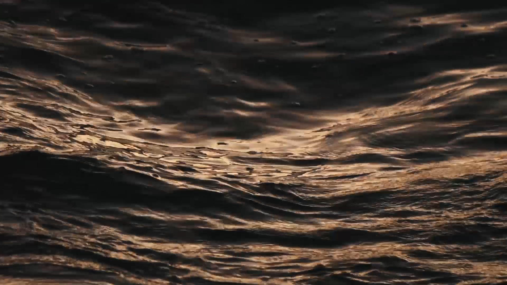 Verde Aurora / Año 2021