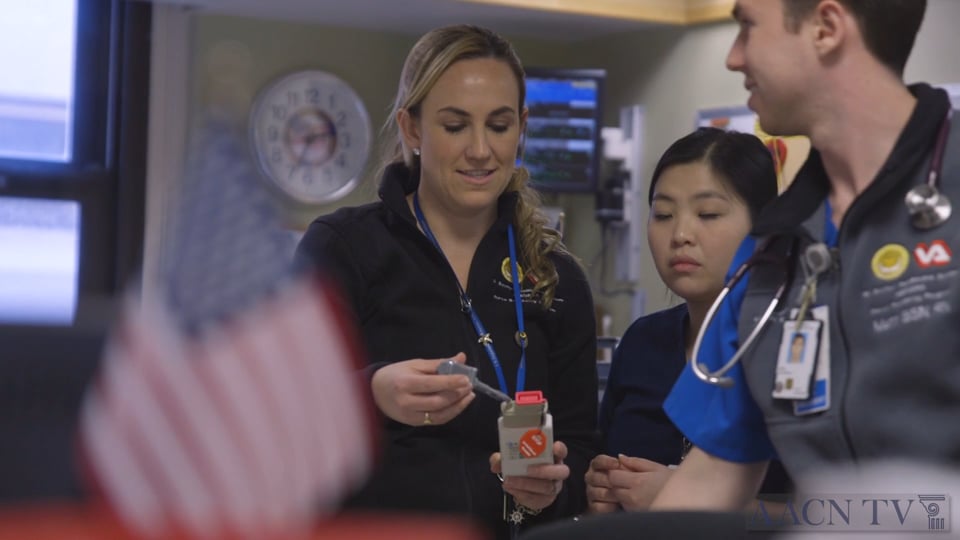 Northeast Region VA Nursing Alliance (NERVANA)