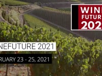 wine article Wine Future 2021 Webinar 2