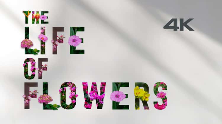 The Life of flowers (Remastered) 4K 60p