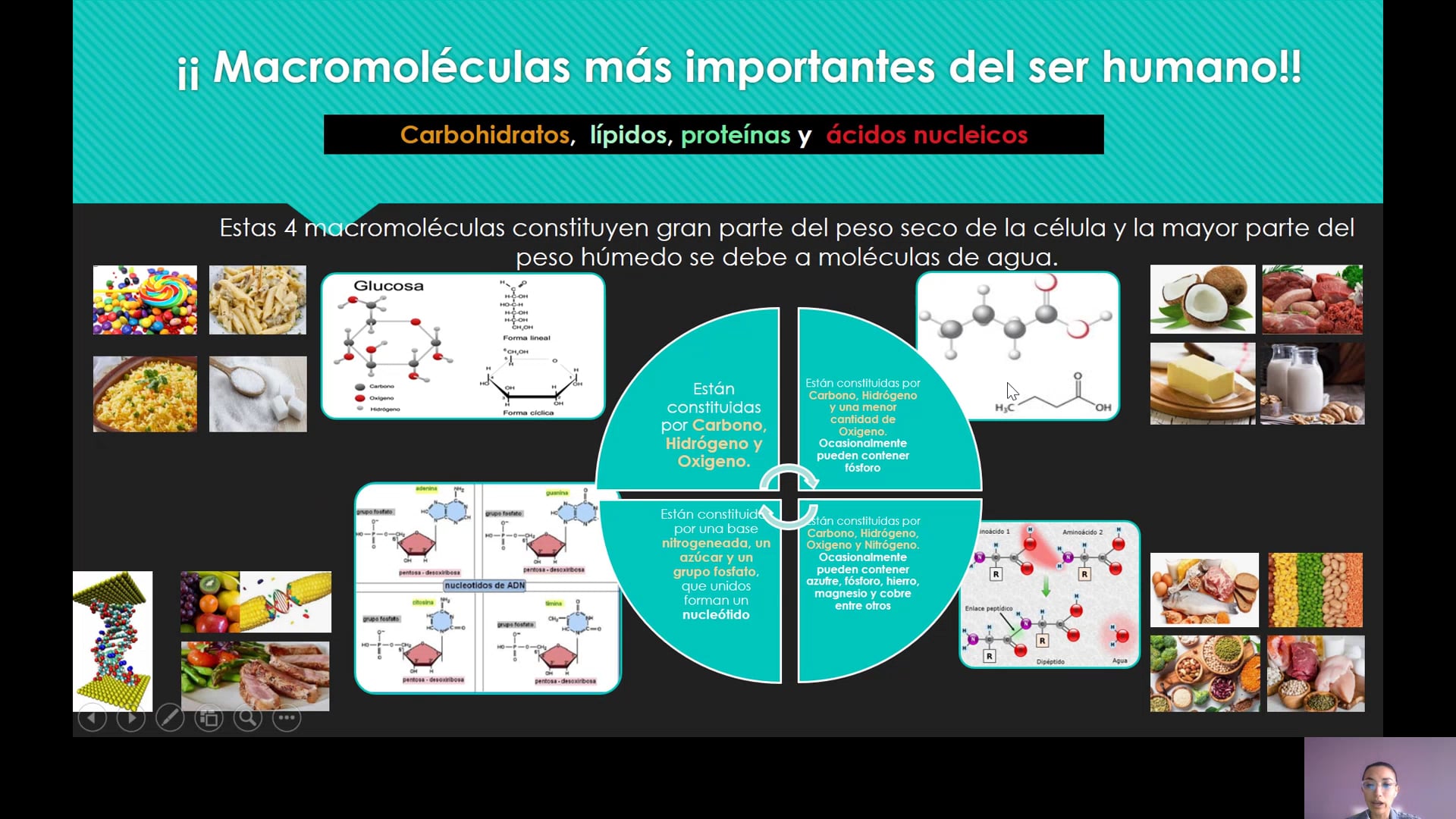 Macromoléculas