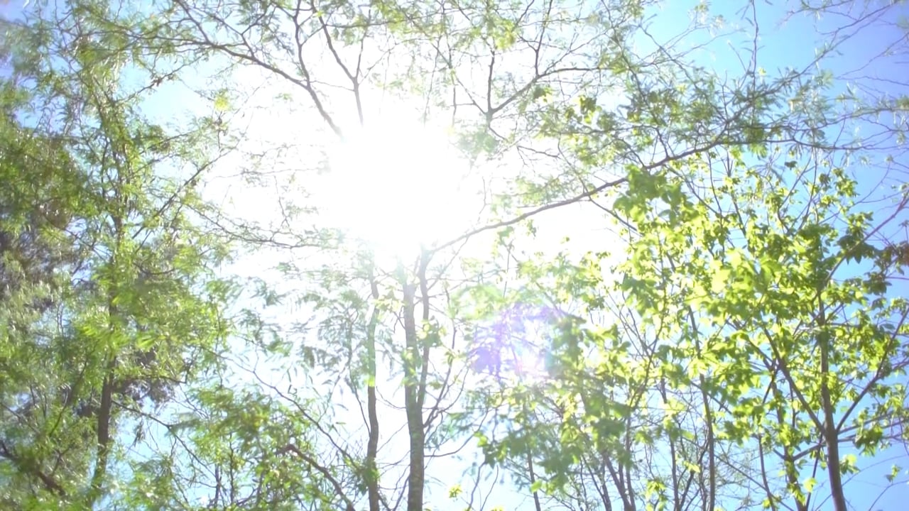 Fiesta de 15 de Mayri - Edición en Vivo